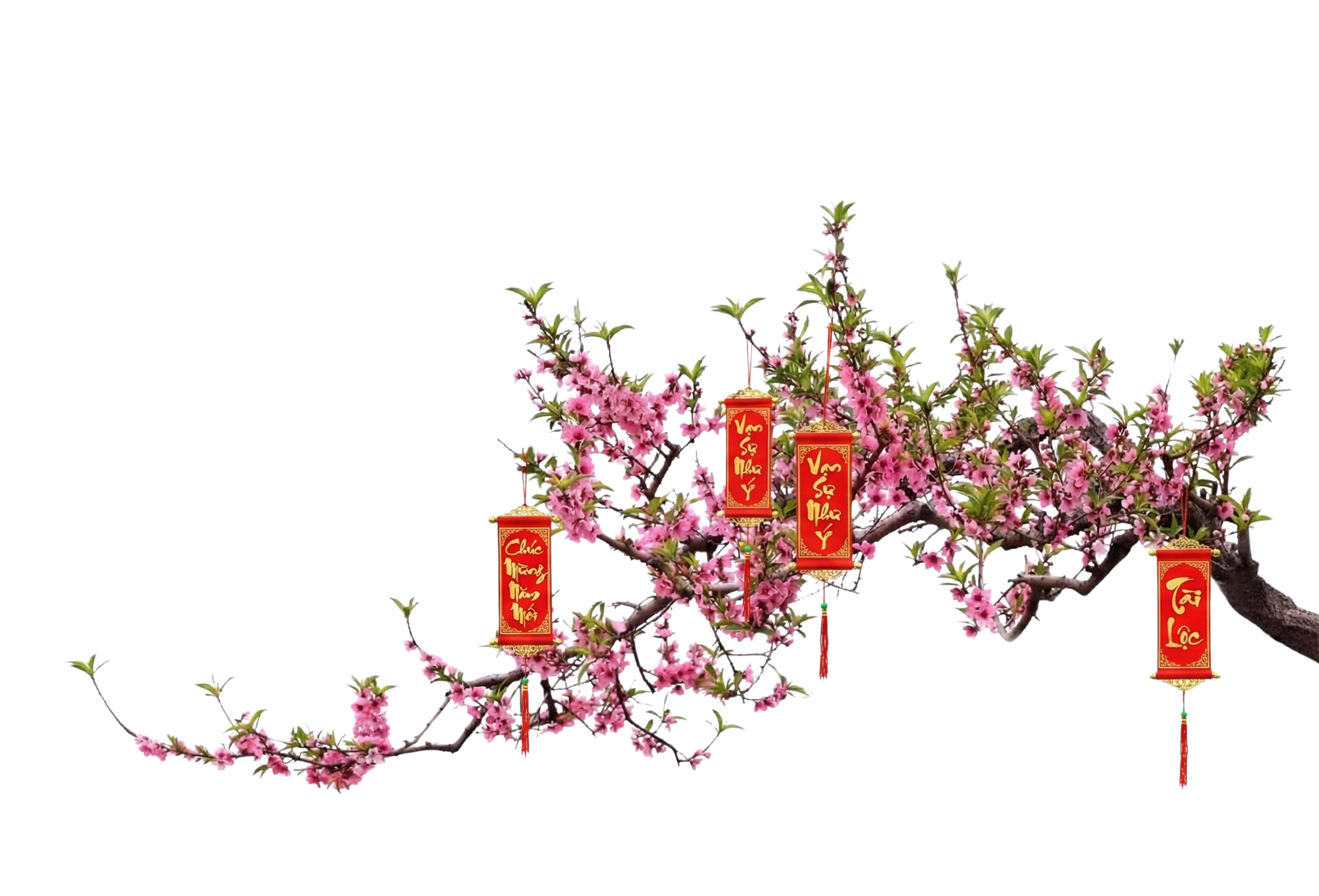 Cành đào đón Tết